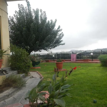 Garden *