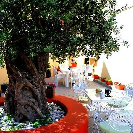 Garden *